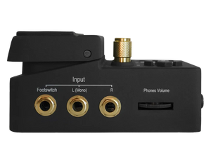 Singular Sound Beat Buddy 10th Anniversary Model