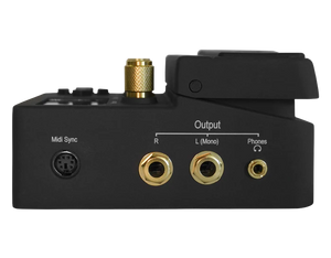 Singular Sound Beat Buddy 10th Anniversary Model