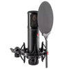 sE Electronics sE2300 Large-Diaphragm Multi-Pattern Condenser Microphone