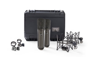 Warm Audio WA-87R2 Stereo Pair Large-Diaphragm Transformer-Balanced Condenser - Limited Titanium-Style Finish