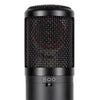 sE Electronics sE2300 Large-Diaphragm Multi-Pattern Condenser Microphone