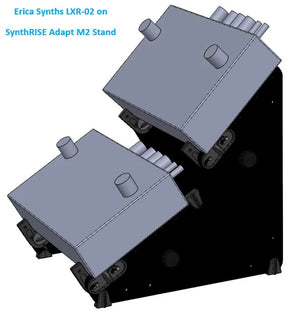 SynthRISE Adapt Medium 2