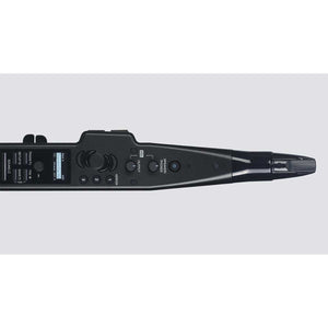 ASM Diosynth Wind Synthesizer