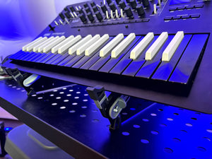 SynthRISE Adapt Hook Extender (pair)