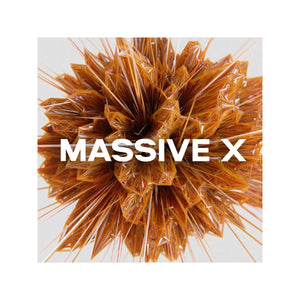 Native Instrument Massive X (Serial nr + Download)