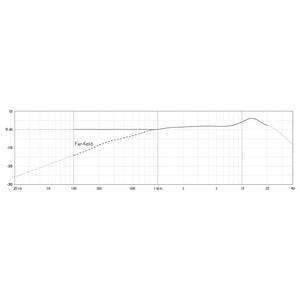 DPA 4488 CORE Directional Headset Microphone