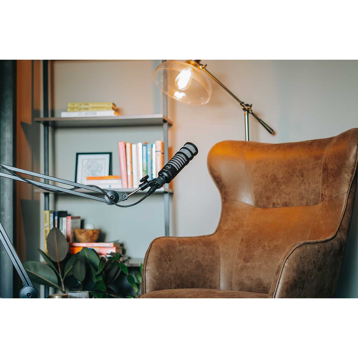 512 Audio Limelight Dynamic Vocal Microphone for Broadcasting, Podcasting & Streaming