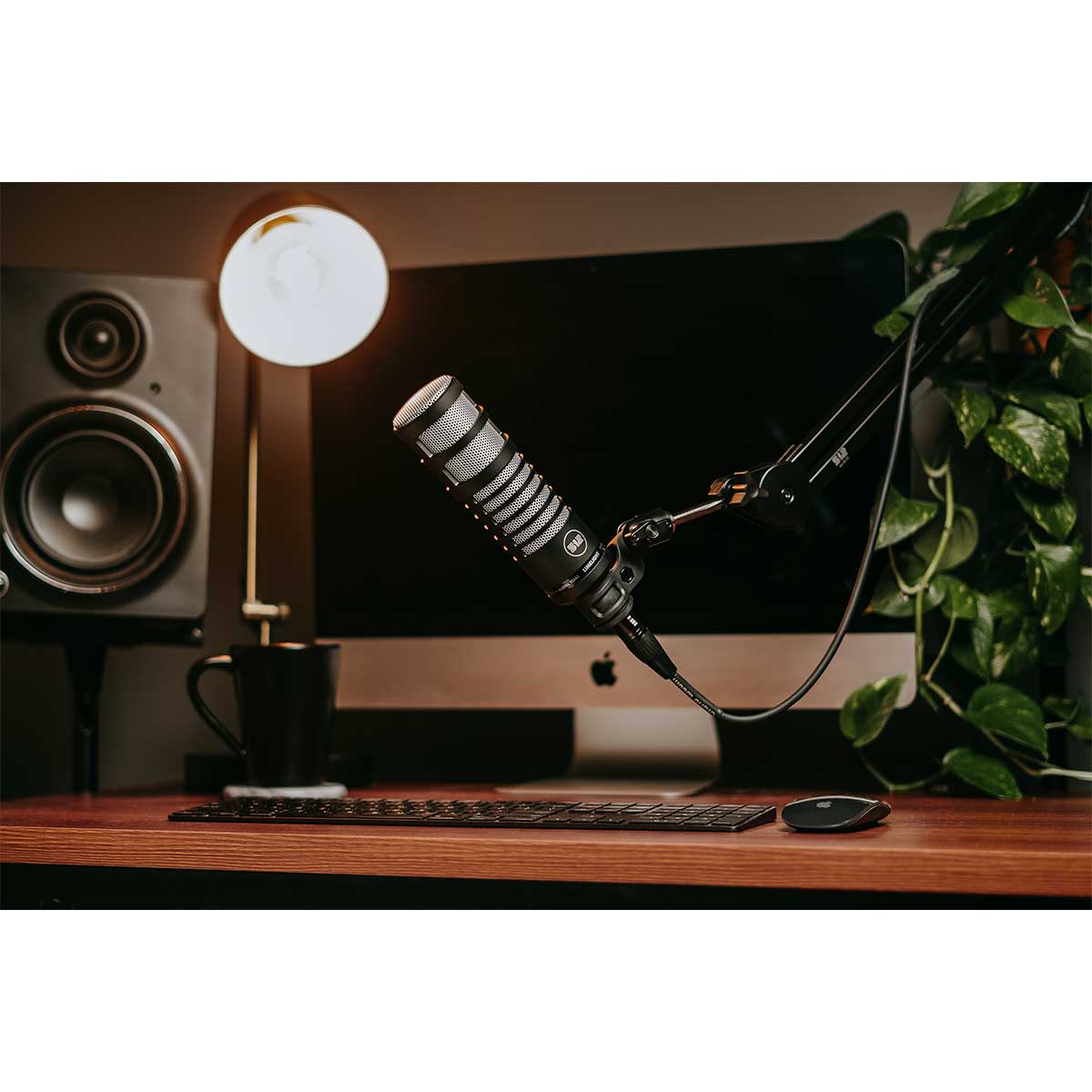 512 Audio Limelight Dynamic Vocal Microphone for Broadcasting, Podcasting & Streaming