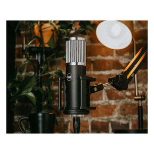 512 Audio Skylight Large Diaphragm Studio Condenser XLR Mic