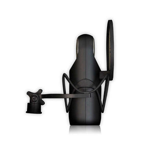 Aston Element Microphone Bundle