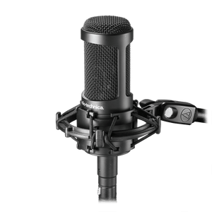 Audio-Technica AT2050 Multi-pattern Condenser Microphone