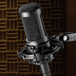 Audio-Technica AT2050 Multi-pattern Condenser Microphone