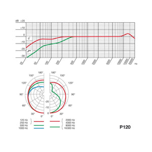 Condenser Microphones - AKG P120 Large-Diaphragm Project Studio Condenser Microphone