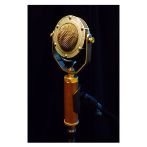 Condenser Microphones - Ear Trumpet Labs Edwina Condenser Microphone