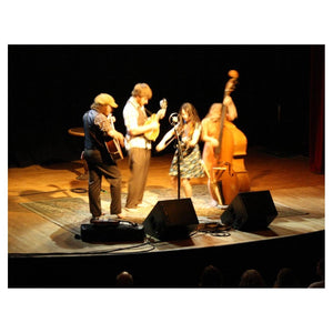 Condenser Microphones - Ear Trumpet Labs Louise Condenser Microphone