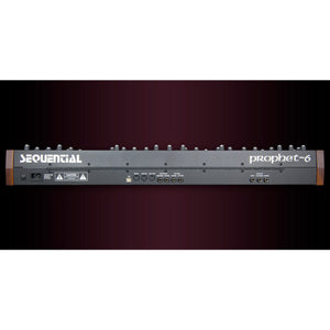 Keyboard Synthesizers - Dave Smith Instruments Prophet-6 Polyphonic Analog Synthesizer