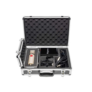 Mojave MA 200 Large Diaphragm Cardiod Vacuum Tube Condenser Microphone Satin Nickel