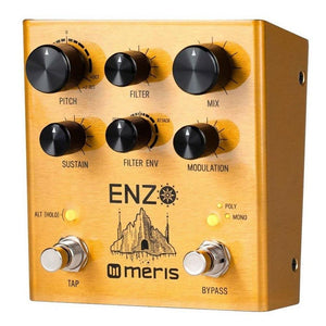 Pedals & Effects - Meris Enzo Multi-Voice Instrument Synthesizer Guitar Pedal