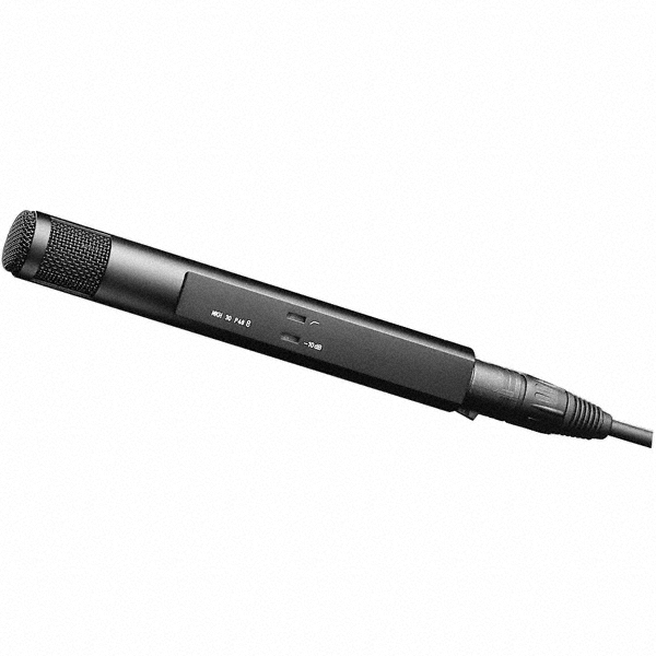 Sennheiser MKH 30-P48 figure-of-eight Condenser Microphone