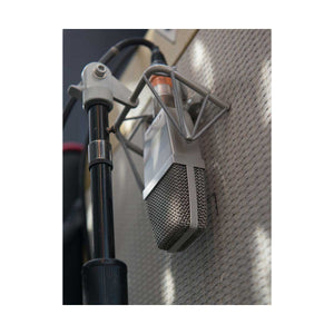 sE Electronics T2 Large-Diaphragm Multi-Pattern Condenser Microphone with Titanium Capsule