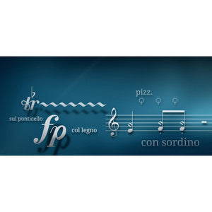 Software Bundles - Vienna Symphonic Library VSL - SPECIAL EDITION VOL. 2 PLUS