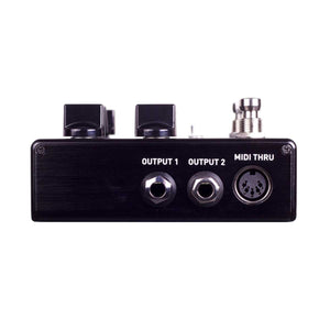 Source Audio Nemesis Delay Outs