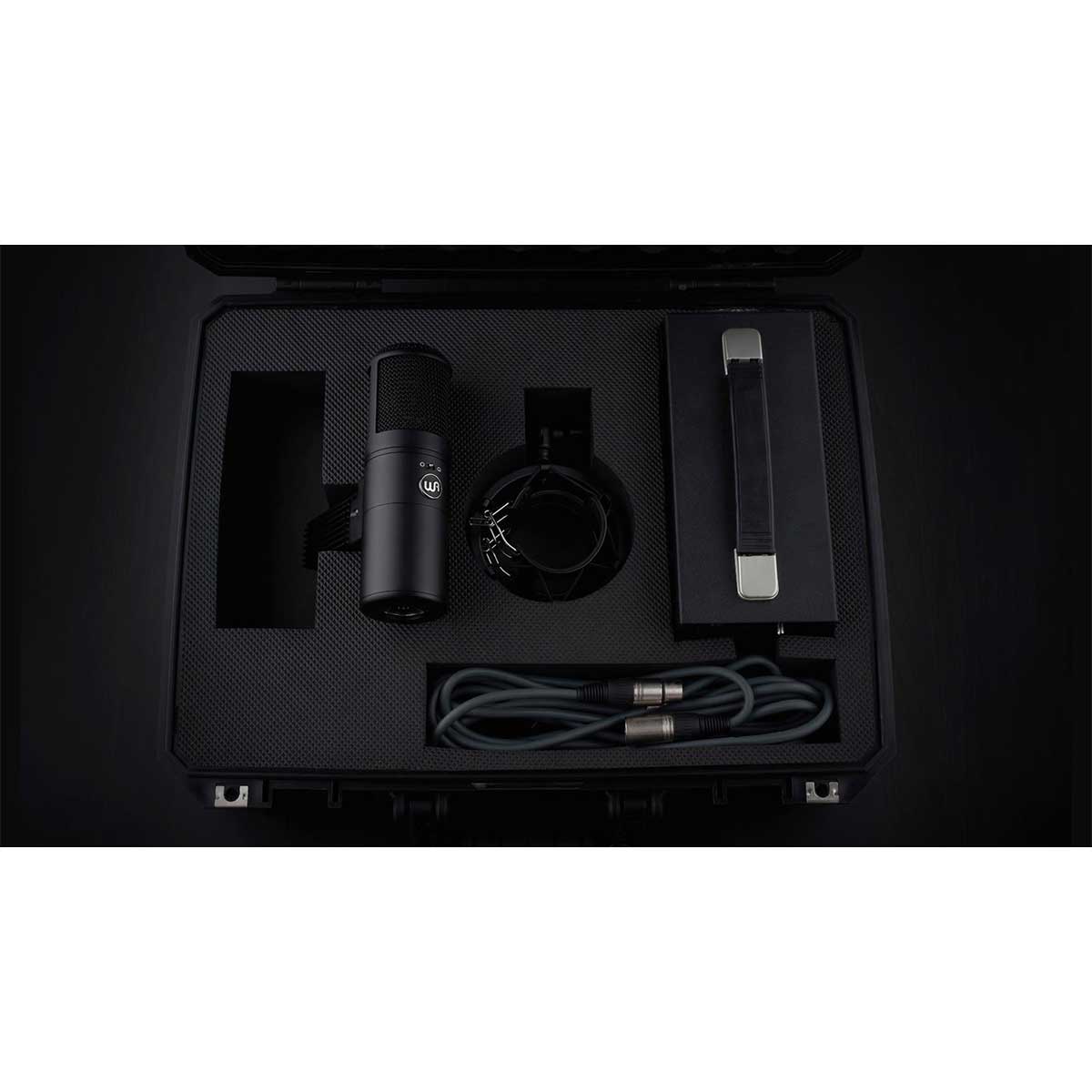 Warm Audio WA-8000 Tube Condenser Microphone