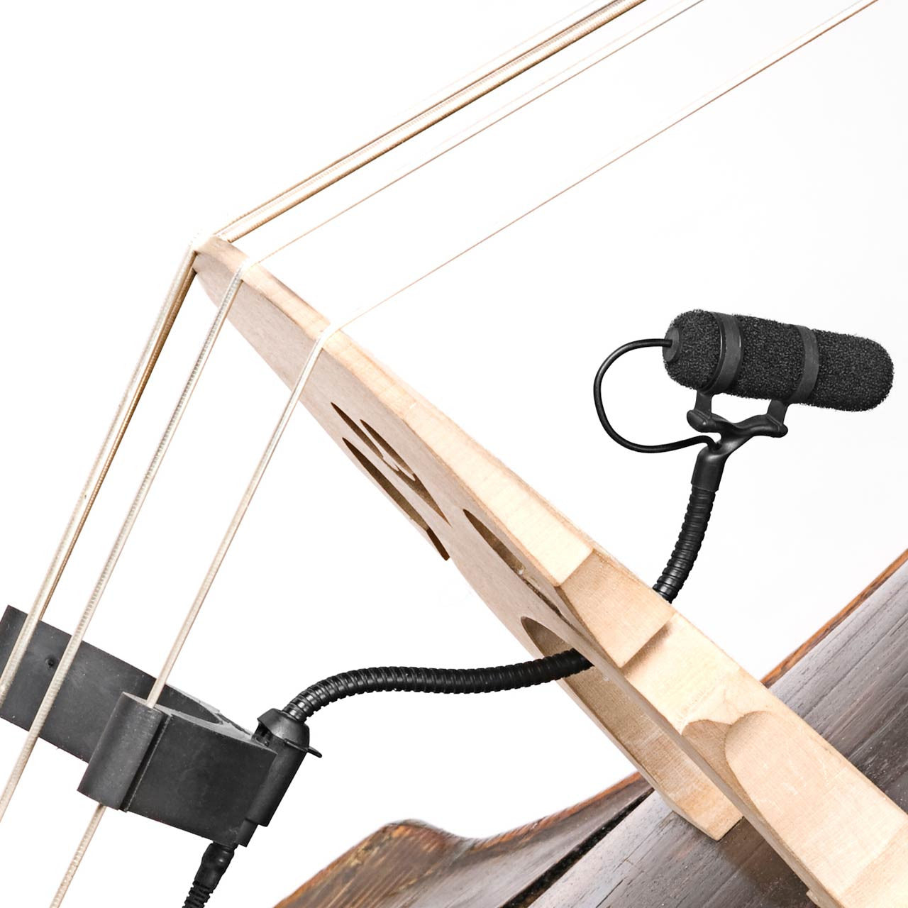 Instrument Microphones