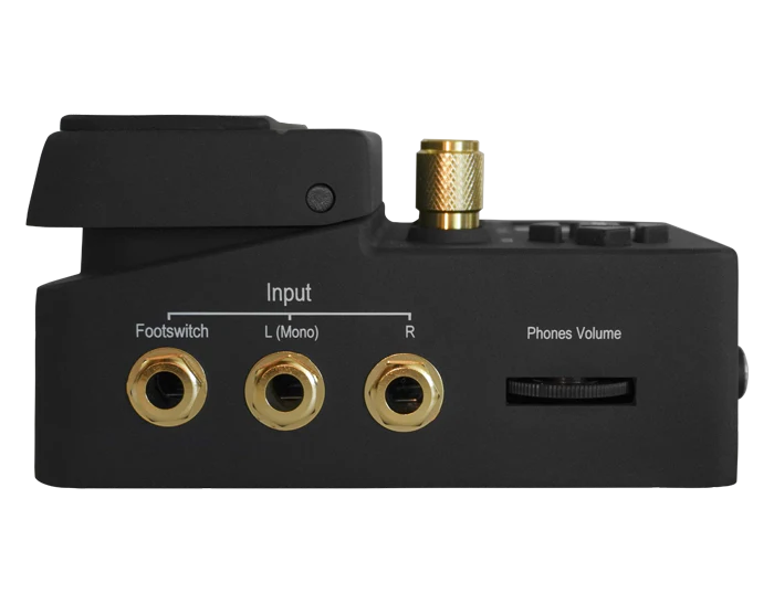 Singular Sound Beat Buddy 10th Anniversary Model