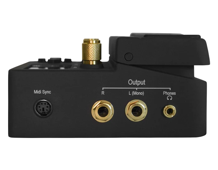 Singular Sound Beat Buddy 10th Anniversary Model