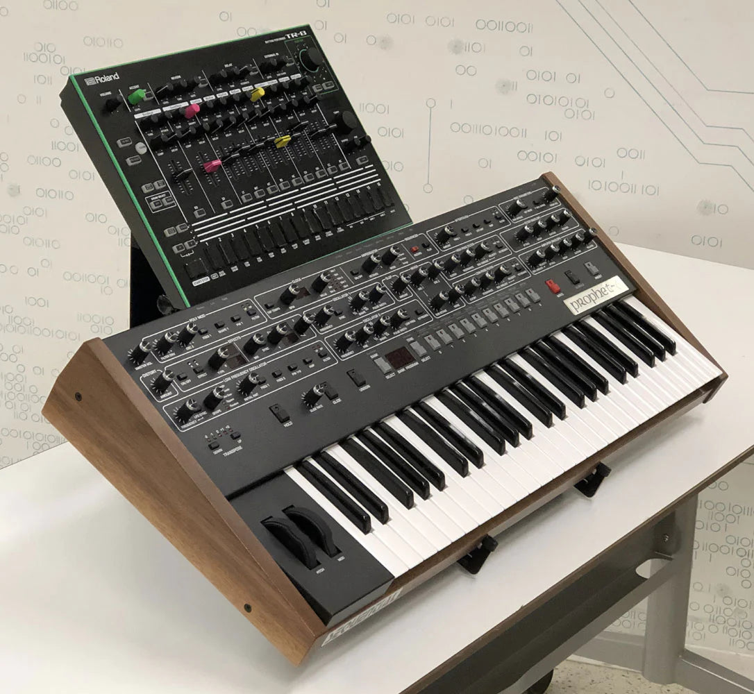 SynthRISE Adapt Large 2