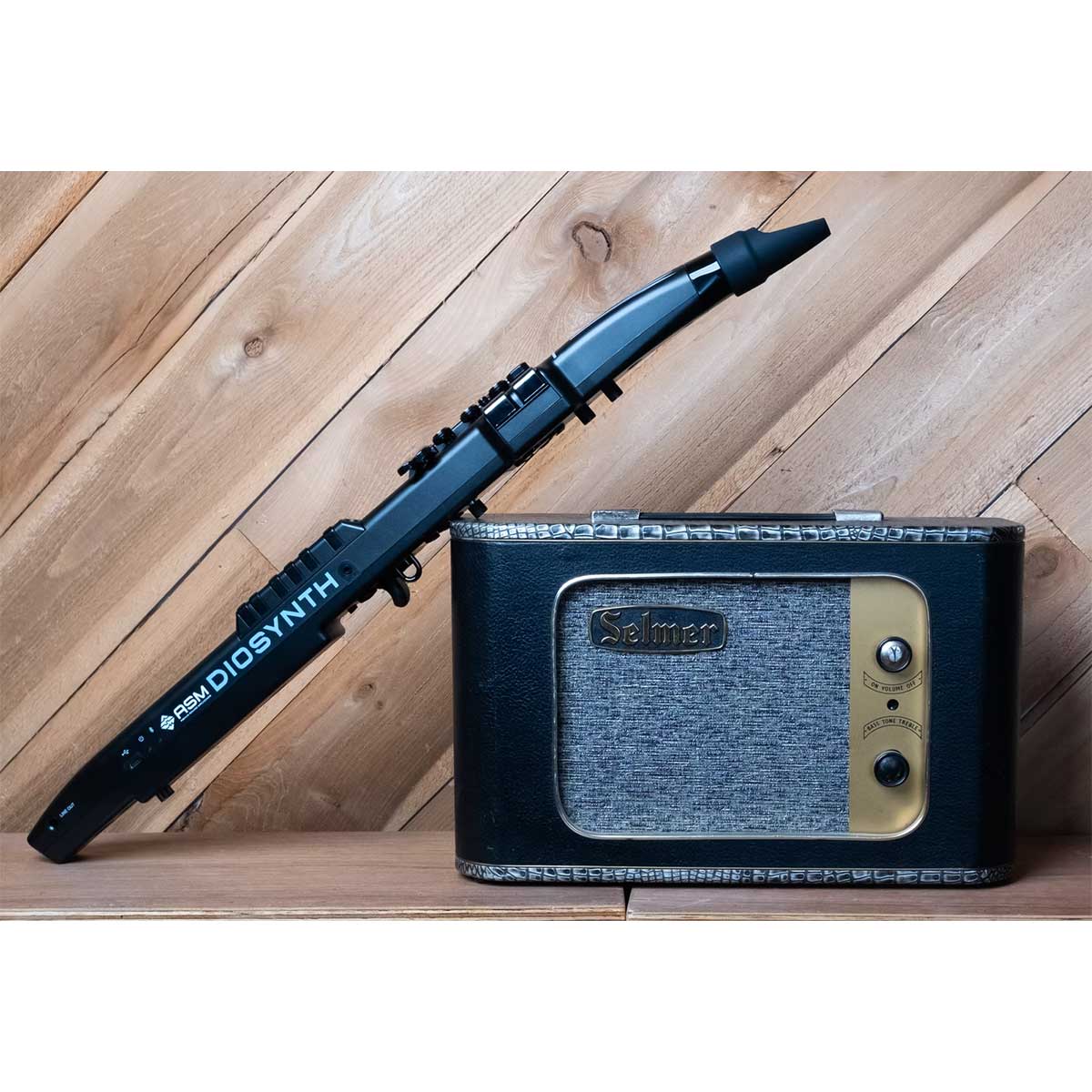 ASM Diosynth Wind Synthesizer