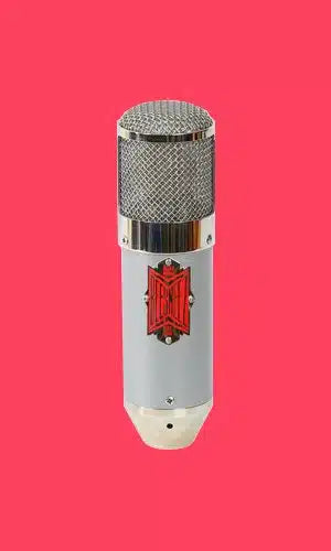 BeesNeez Elly Large Diaphragm Fet Microphone [K7 (K47) Capsule]