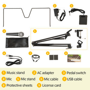 KORG Liano Live 88 Note Streaming Piano Kit