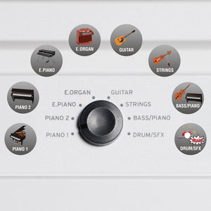 KORG Liano Live 88 Note Streaming Piano Kit