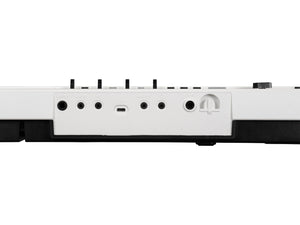 KORG Liano Live 88 Note Streaming Piano Kit