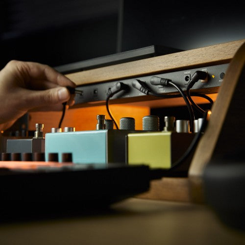 Palmer WTPB40 RK Power supply unit with 8 outputs for rack mounting