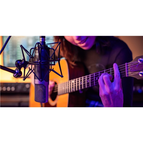 Slate ML-1A large-diaphragm condenser Modeling Microphone