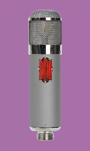 BeesNeez Tribute 1 Condenser Microphone (U47)