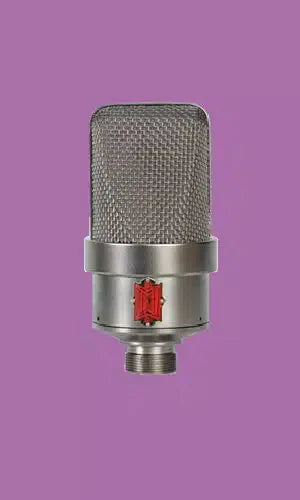 BeesNeez Tribute 4 Microphone (M49)