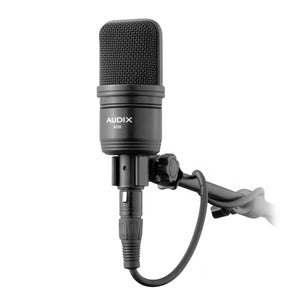 Audix A131 Large-diaphragm Condenser Microphone