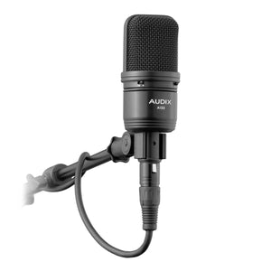 Audix A133 large-diaphragm Condenser Microphone