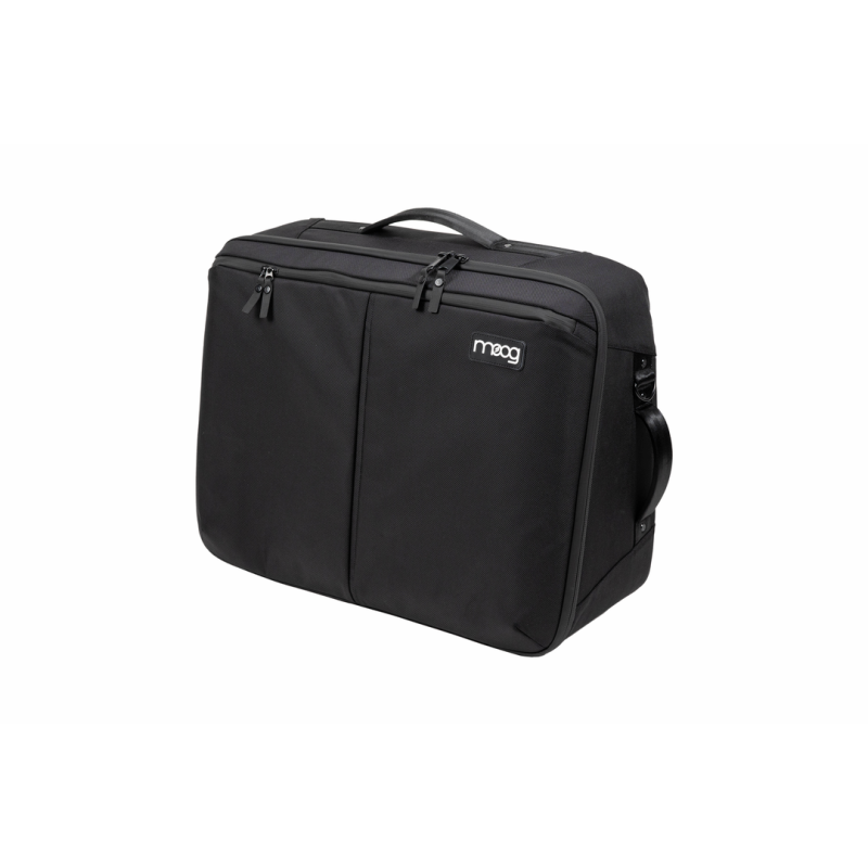 Moog SUBSEQUENT 25 SR Case