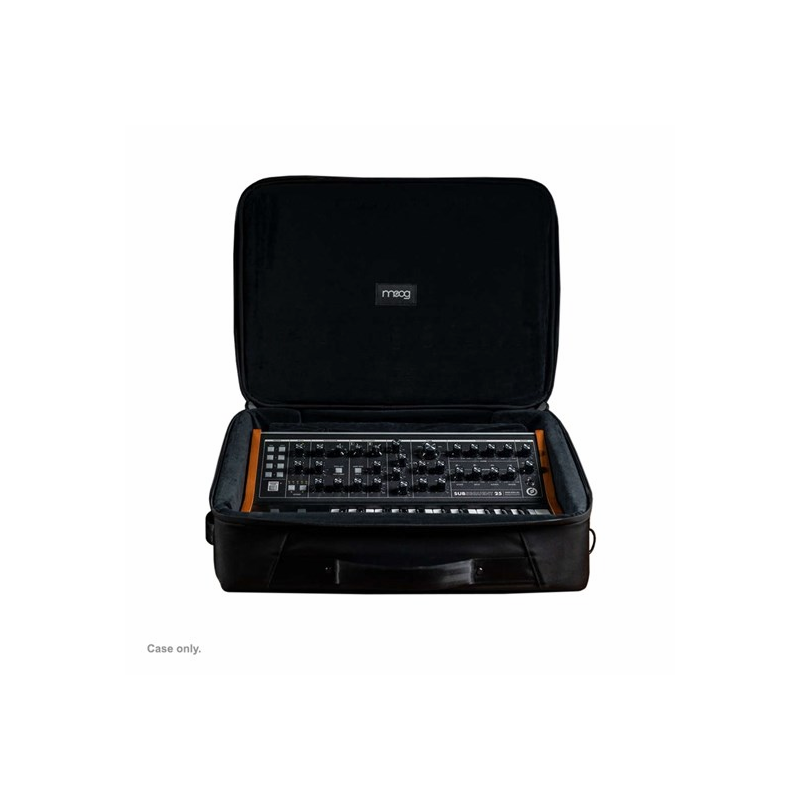 Moog SUBSEQUENT 25 SR Case