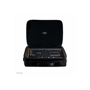 Moog SUBSEQUENT 25 SR Case