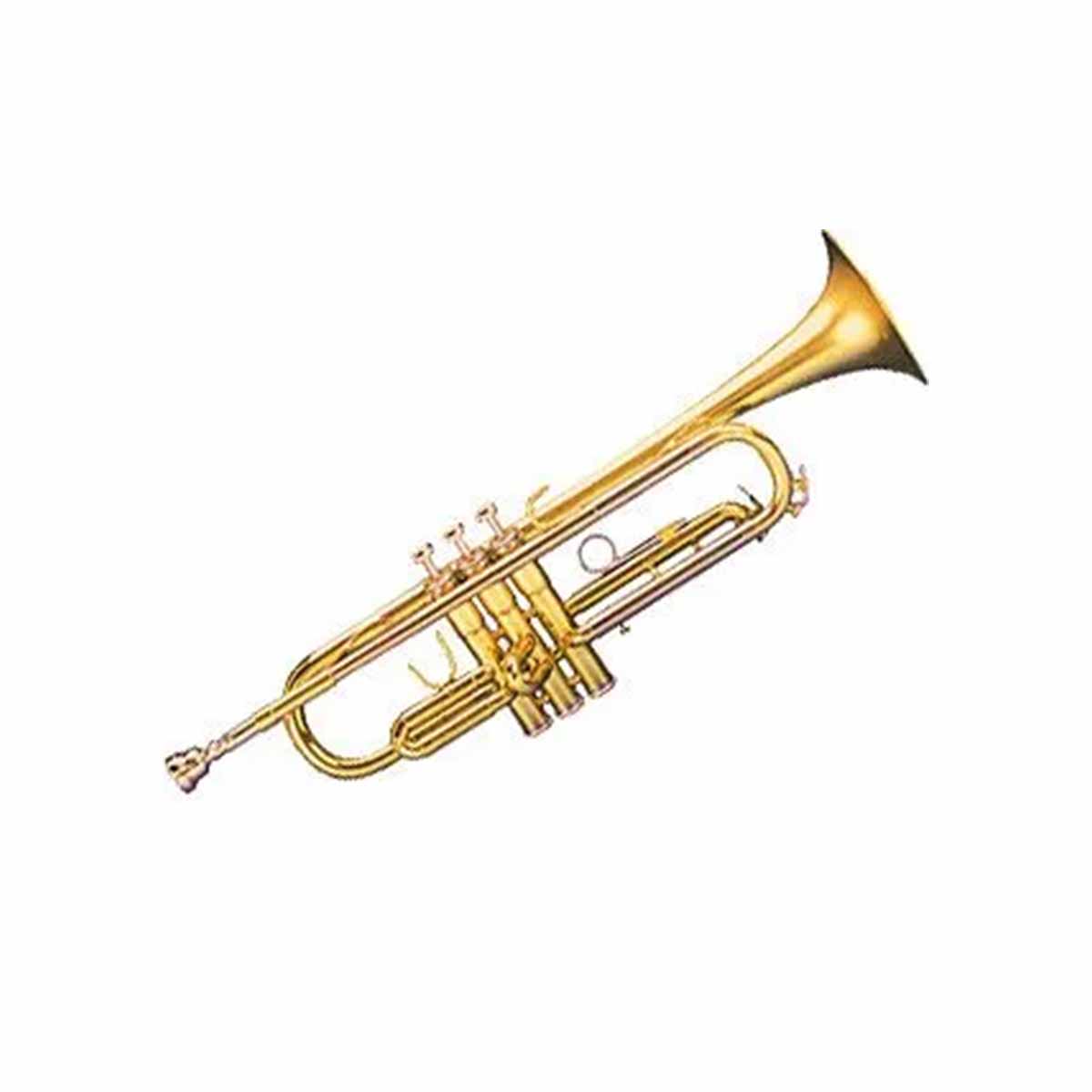 Linley Trumpet-Lacquer Advanced