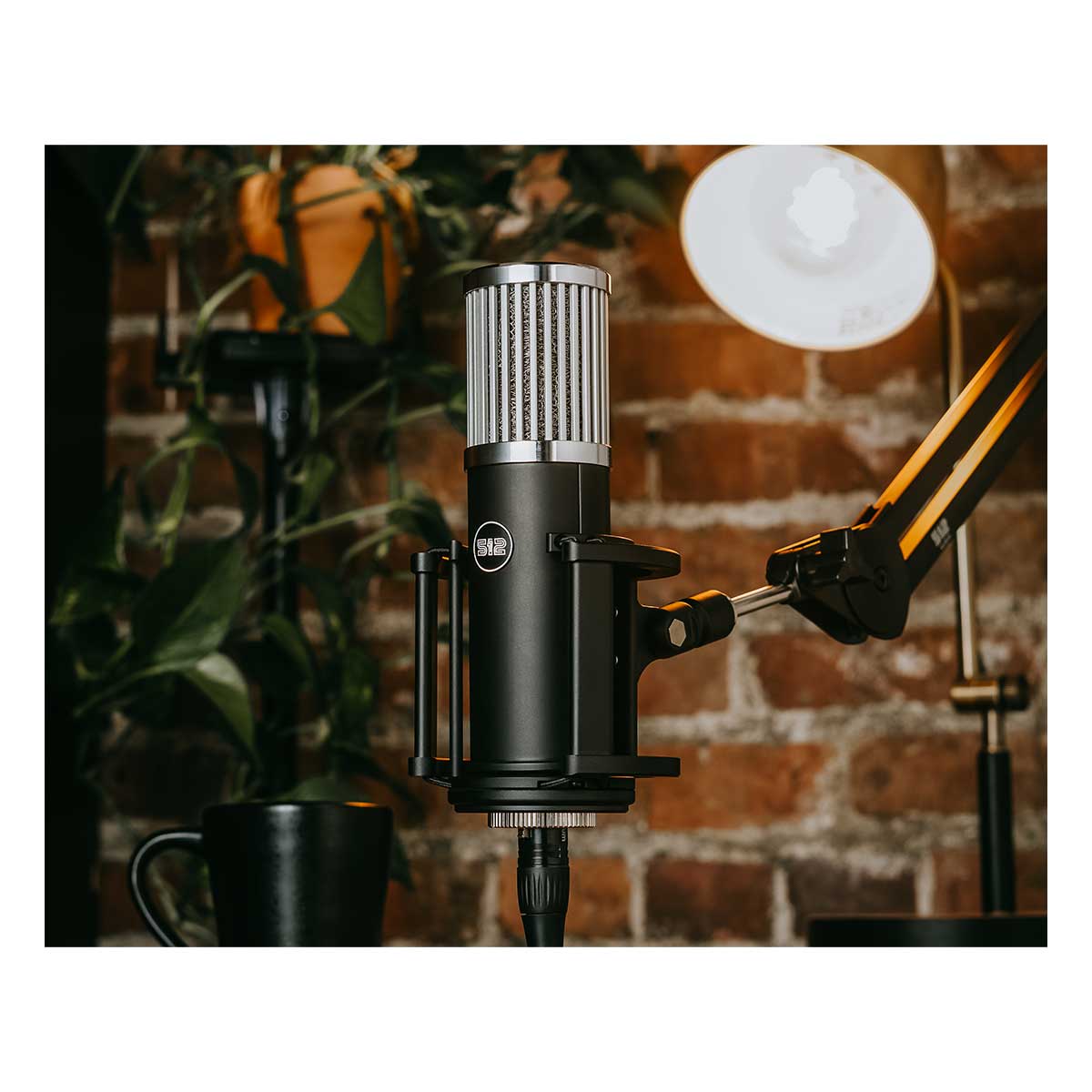 512 Audio Skylight Large Diaphragm Studio Condenser XLR Mic