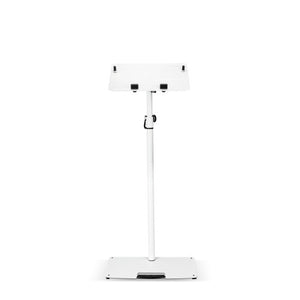 Gravity LTS T 02 W Universal Laptop Stand with Adjustable Holding Pins and Steel Base