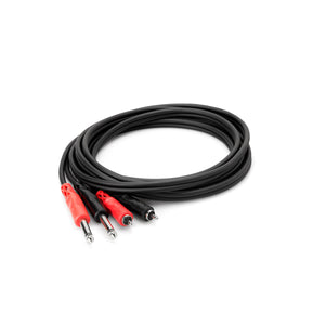 Hosa Stereo Interconnect Dual 1/4 in TS to Dual RCA