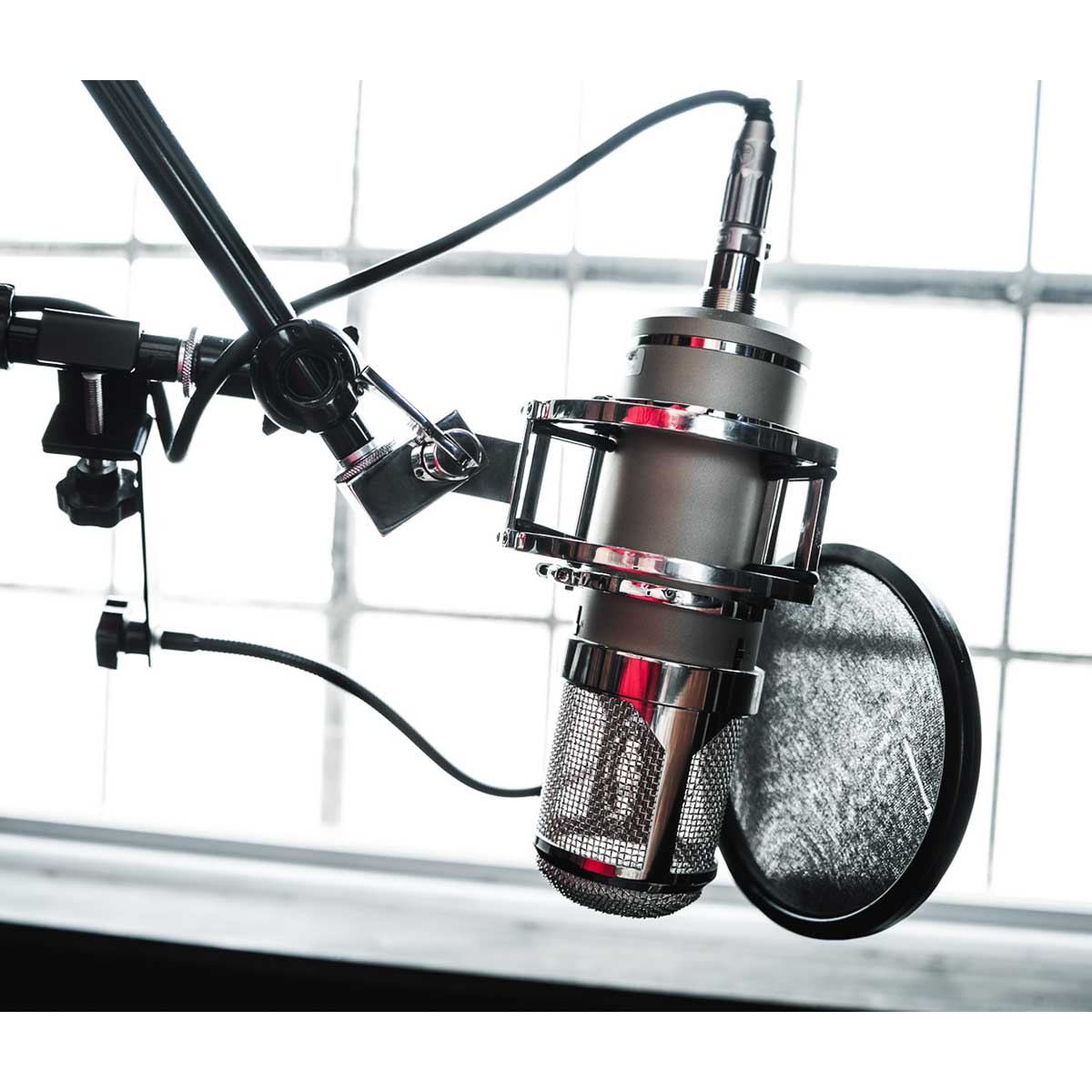 Lauten Audio Eden LT-386 Tube Condenser Multi-Pattern Microphone with multi-voicing